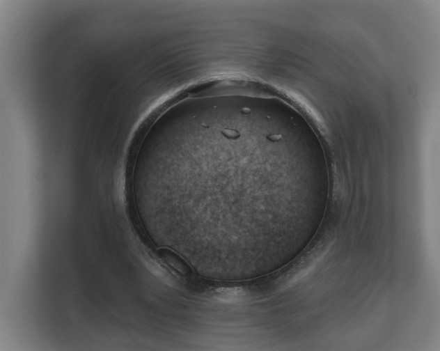 X0000111610391200907241014