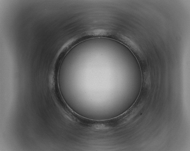 X0000111610392200907241014