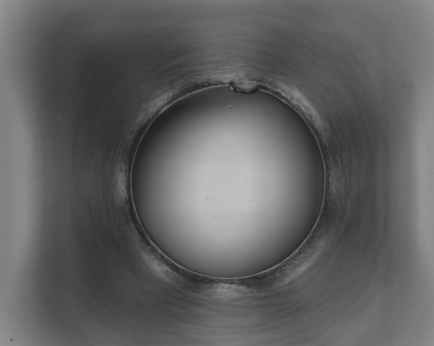 X0000111610393200907241014