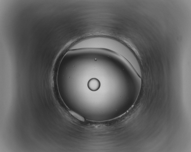 X0000111610395200907241014