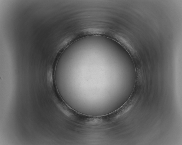 X0000111610398200907241014