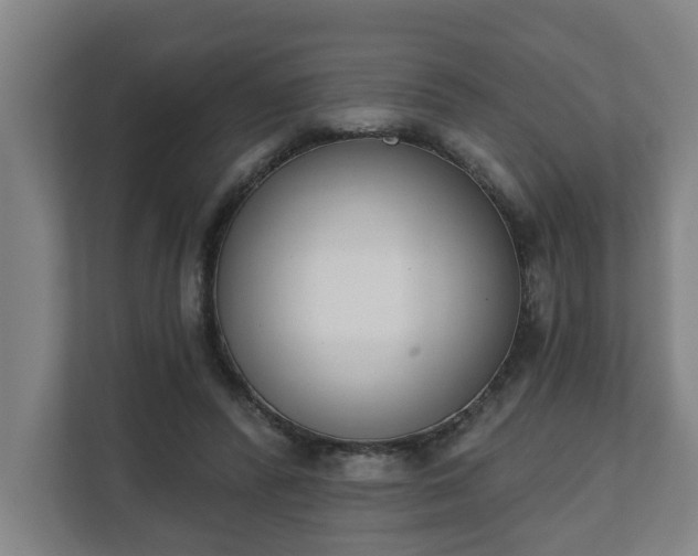 X0000111610400200907241014
