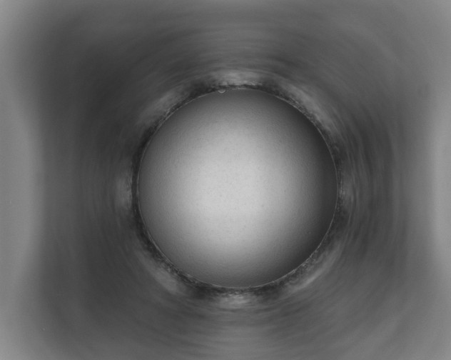 X0000111610402200907241014