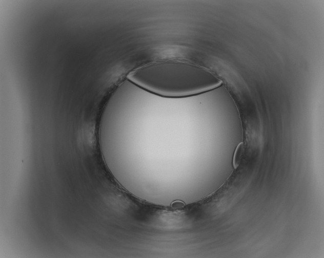 X0000111610403200907241014