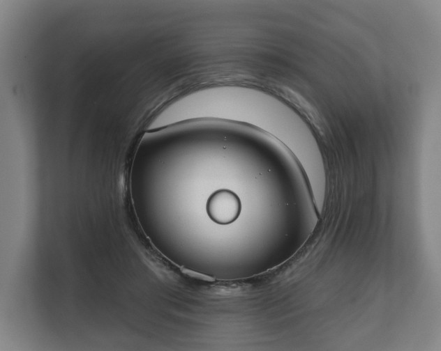 X0000111610405200907241014