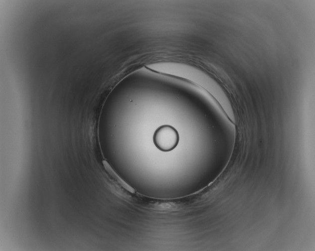 X0000111610409200907241013