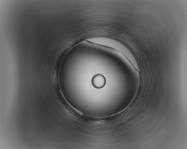 X0000111610411200907241013