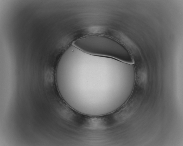 X0000111610413200907241013