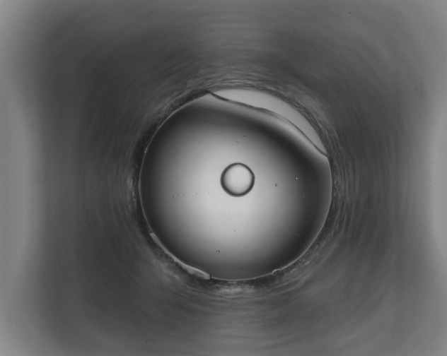 X0000111610415200907241013
