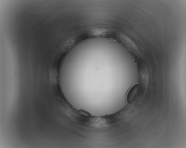 X0000111610421200907241013