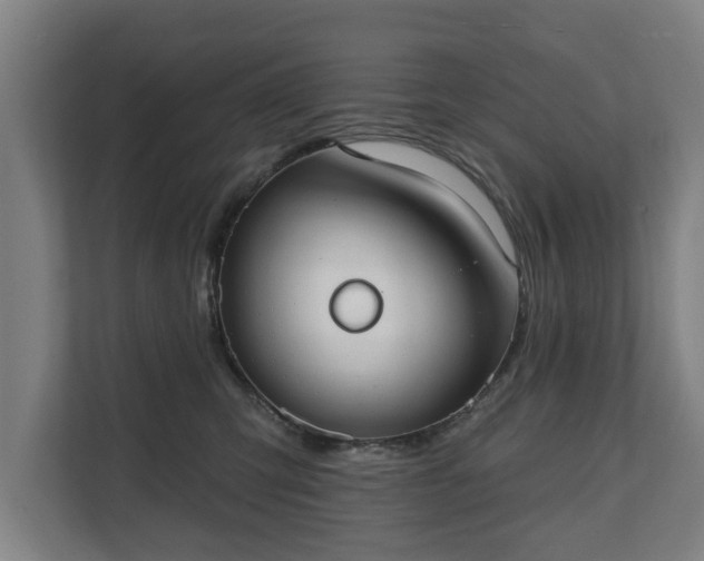 X0000111610423200907241013