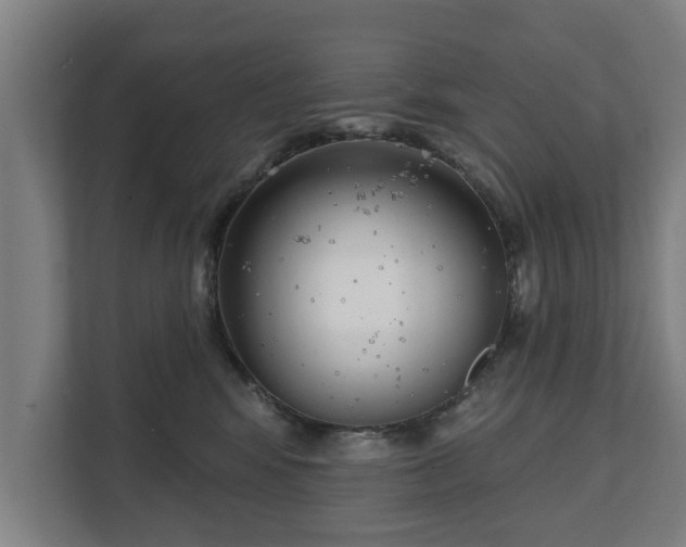 X0000111610424200907241013