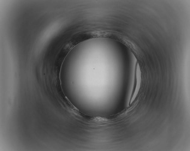 X0000111610429200907241013