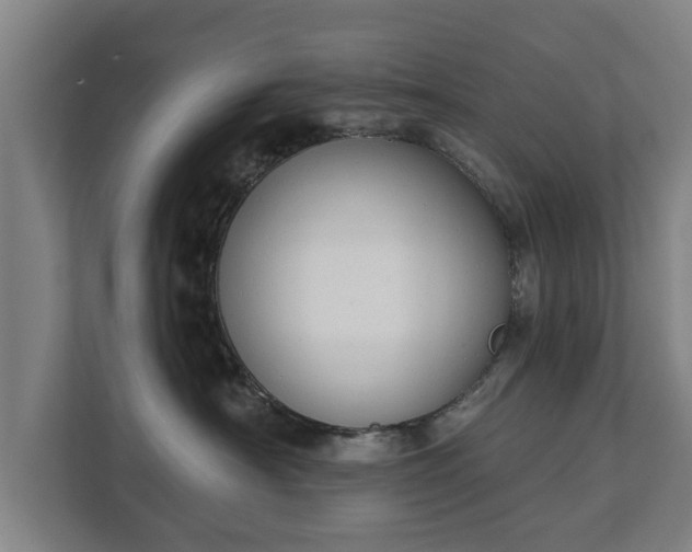 X0000111610430200907241013