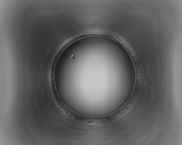 X0000111610434200907241013