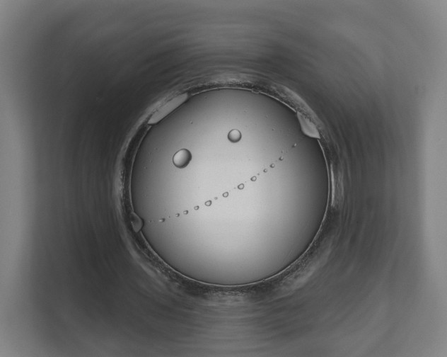X0000111610435200907241013