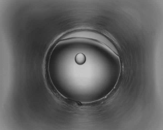 X0000111610436200907241013