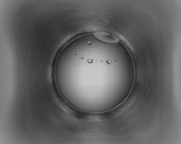 X0000111610439200907241013