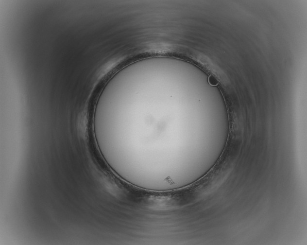X0000111610440200907241013