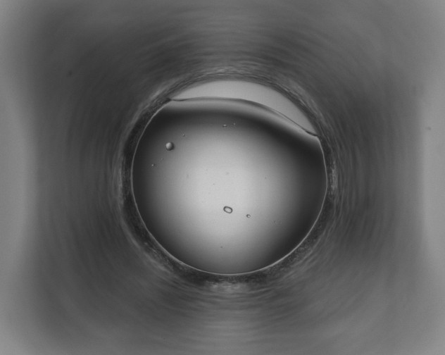 X0000111610444200907241013