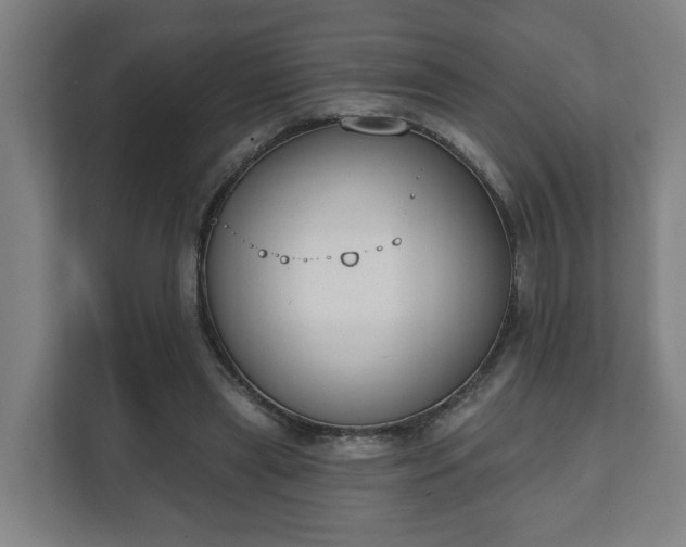X0000111610445200907241013
