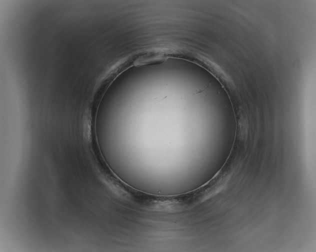 X0000111610446200907241013
