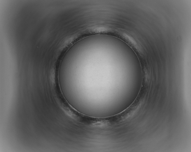 X0000111610447200907241013