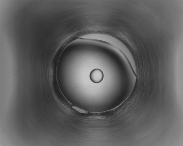 X0000111610448200907241013