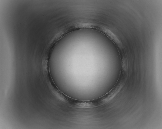 X0000111610449200907241013