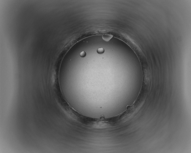 X0000111610451200907241013