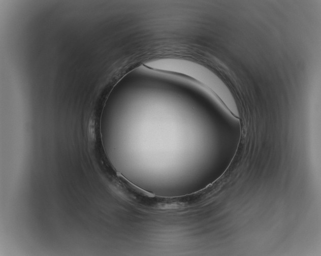 X0000111610452200907241013