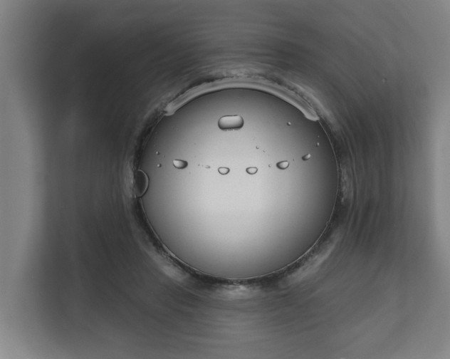 X0000111610453200907241013