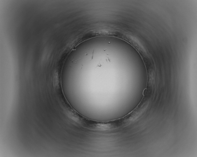 X0000111610457200907241013