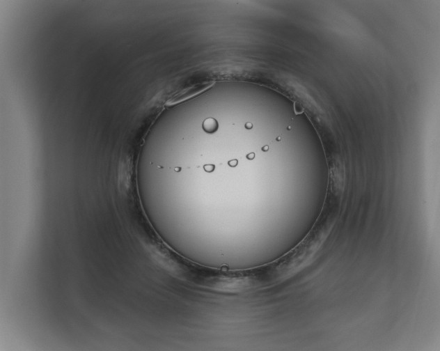 X0000111610458200907241013