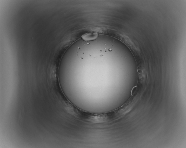 X0000111610466200907241013