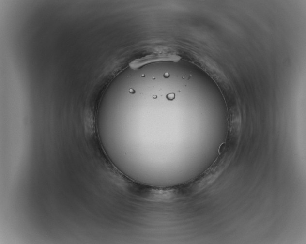 X0000111610469200907241013