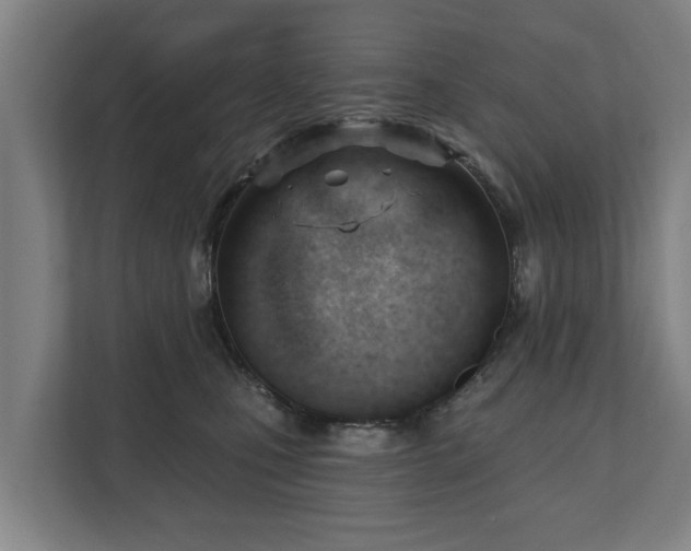 X0000111610471200907241013