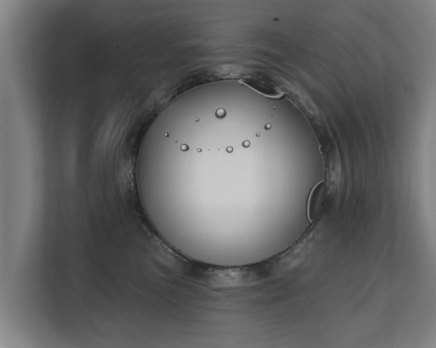 X0000111610473200907241013