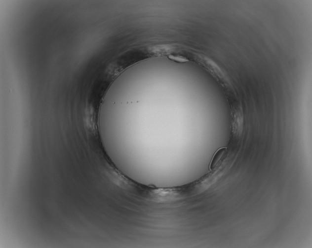 X0000111610477200907241013