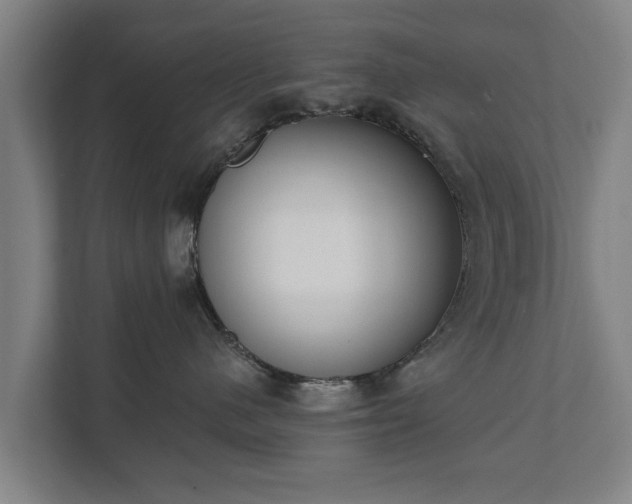 X0000111610480200907241013