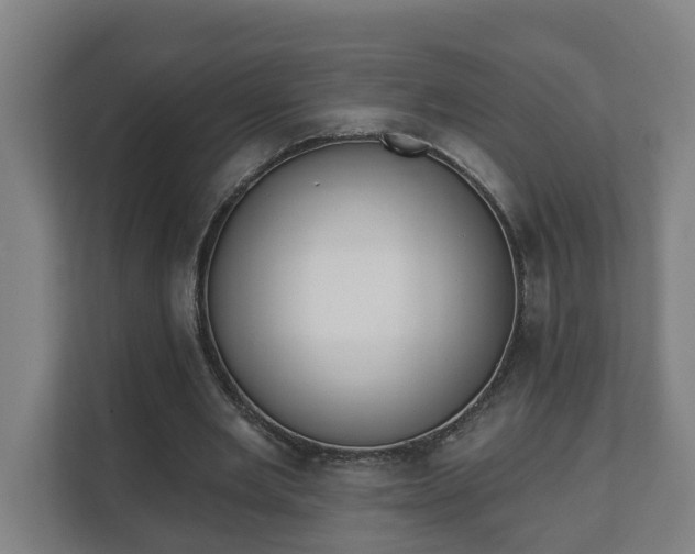 X0000111610485200907241012