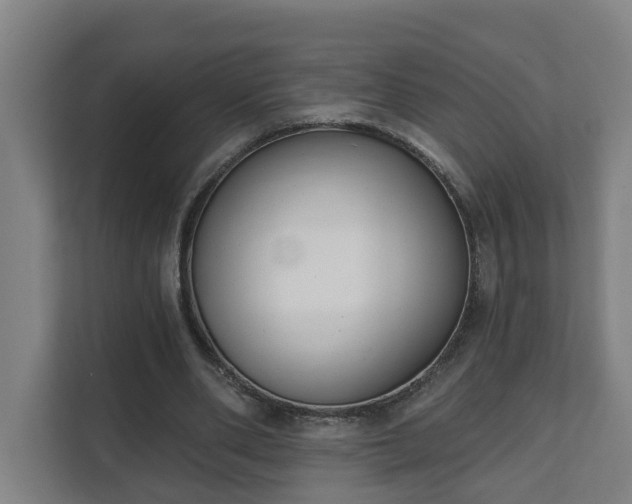X0000111610486200907241012