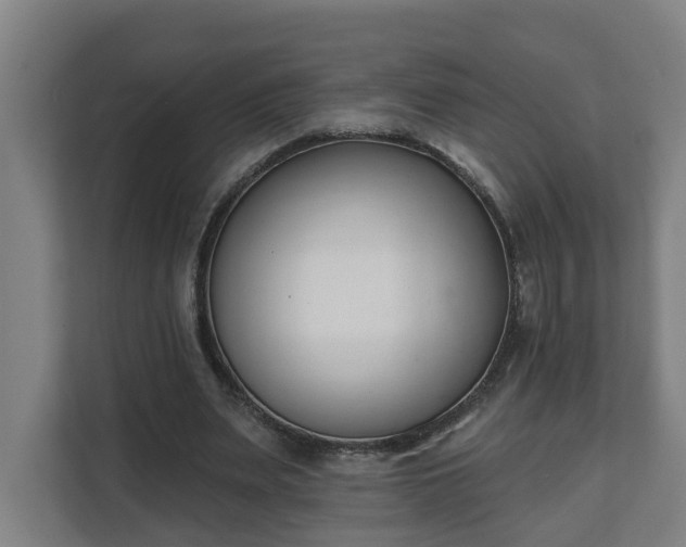 X0000111610487200907241012
