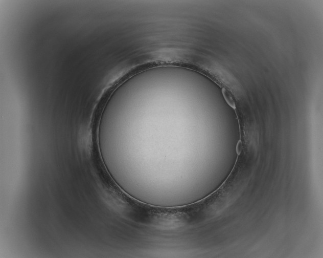 X0000111610488200907241012
