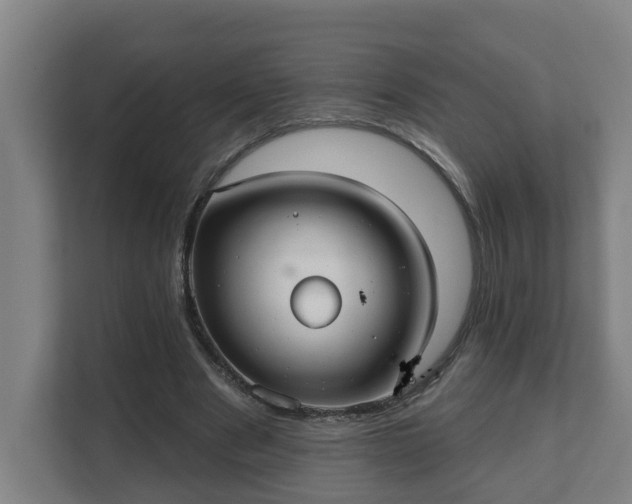 X0000111610489200907241012