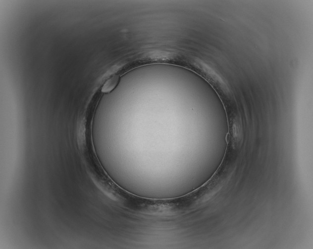 X0000111610492200907241012
