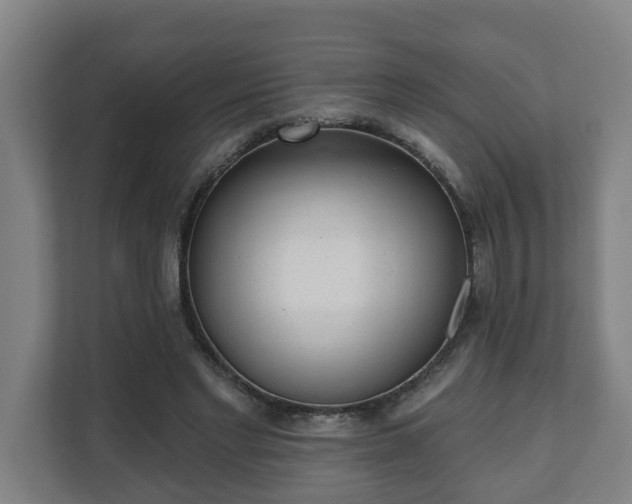 X0000111610493200907241012