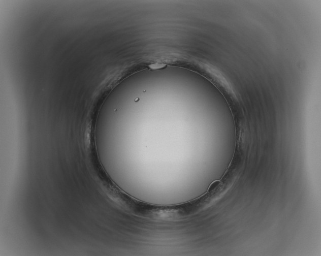 X0000111610501200907241012