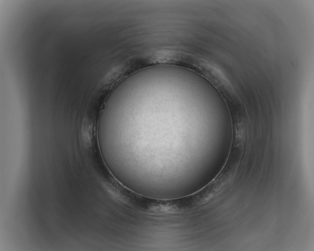 X0000111610503200907241012