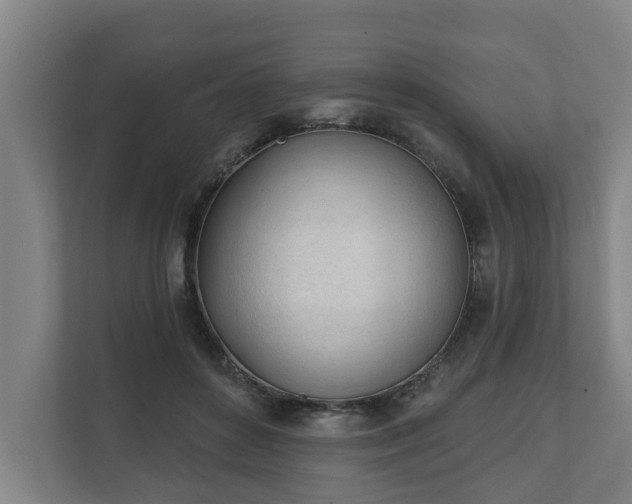 X0000111610504200907241012